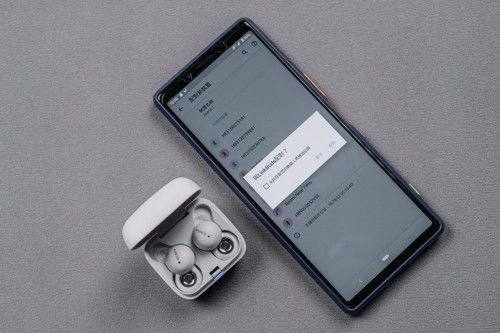 2024年运动蓝牙耳机选购指南 适配苹果手机的周边品牌推荐