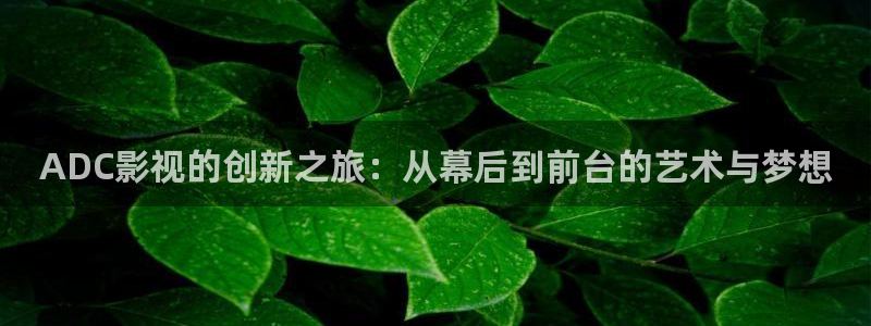 桔子影院免费入口：ADC影视的创新之旅：从幕后到前台的艺术与梦想