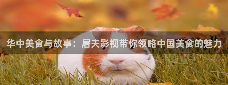 桔子视频如何下载：华中美食与故事：屠夫影视带你领略中国美食的魅力