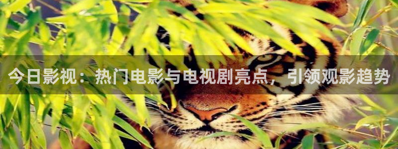 桔子影视在线