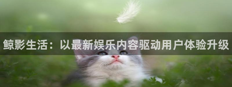 桔子高清视频大全