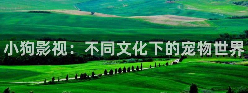 桔子一tv