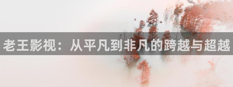 桔子图片：老王影视：从平凡到非凡的跨越与超越