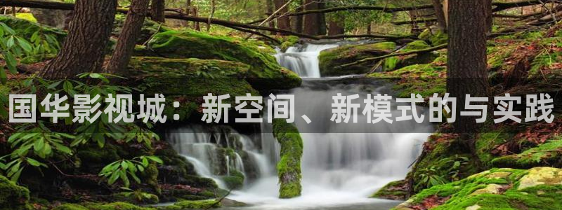 请问有没有小城桔子新视频：国华影视城：新空间、新模式的与实践