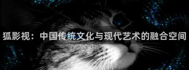 桔子视频播放器：狐影视：中国传统文化与现代艺术的融合空间